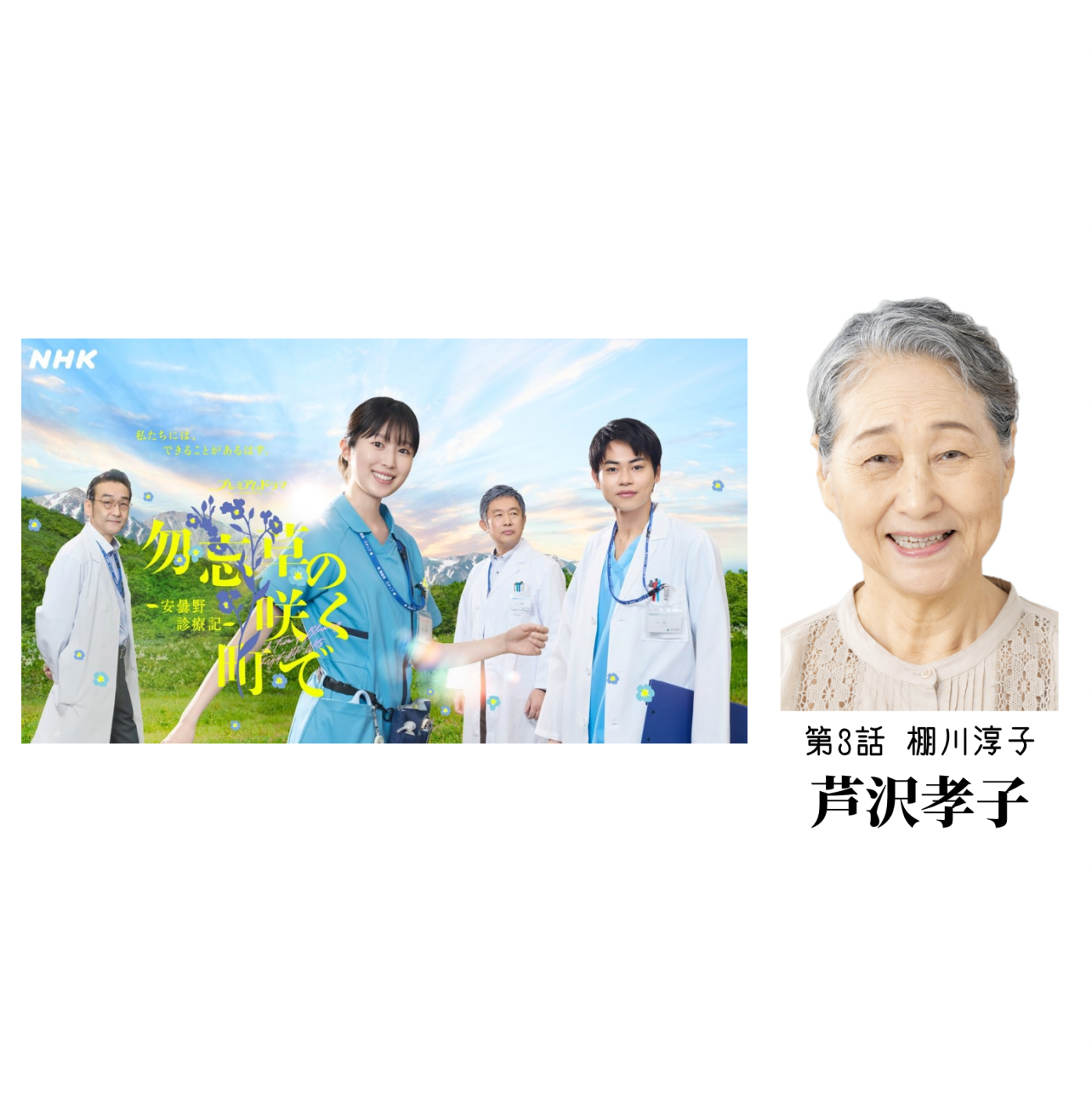 勿忘草